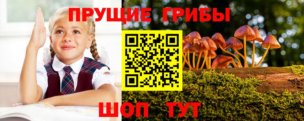 Псилоцибиновые грибы Psilocybine cubensis  Вход с VPN  Медногорск  Галлюциногенные грибы Psilocybe 