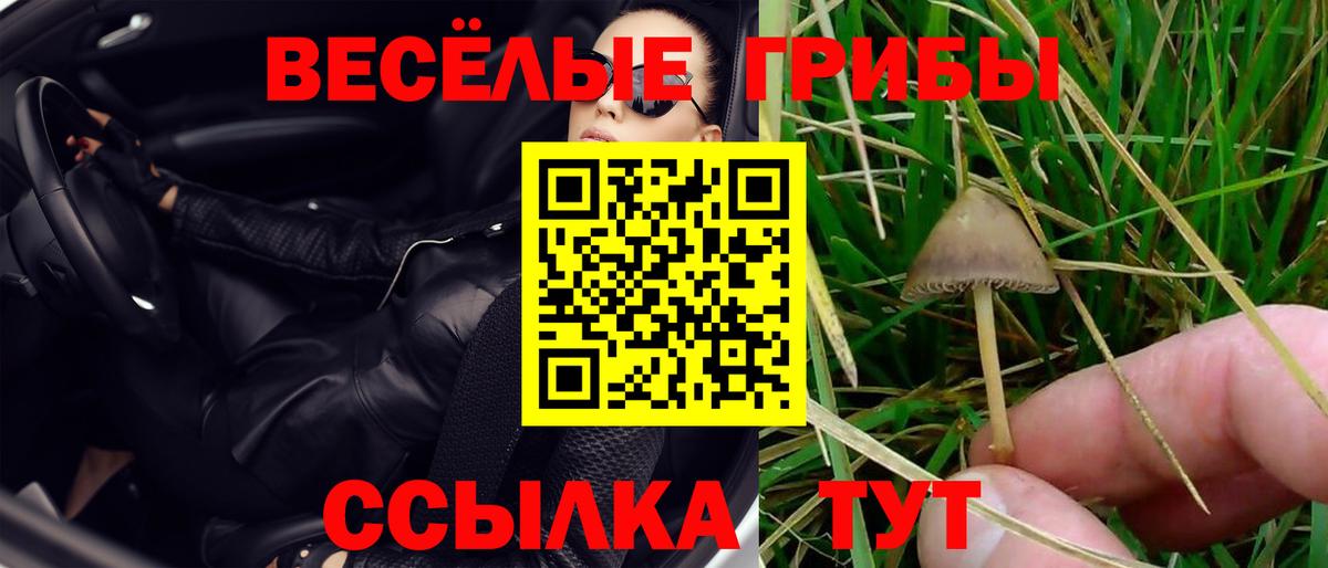 Галлюциногенные грибы мухоморы Медногорск